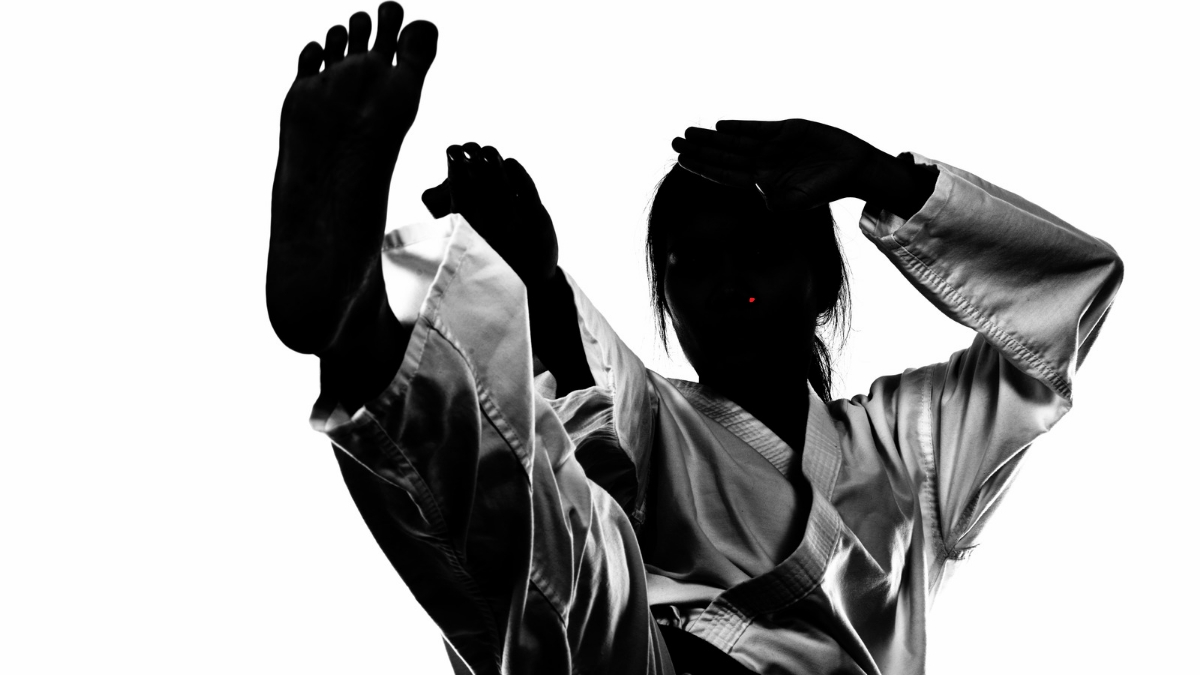 Vendetta Infinita di Ferdinando Balzarro: Il romanzo avvincente che mescola azione suspense e maestria nel karate | Leggi la Trama e Acquista su Amazon la tua copia